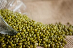 Best Pulses Suppliers in Bihar State